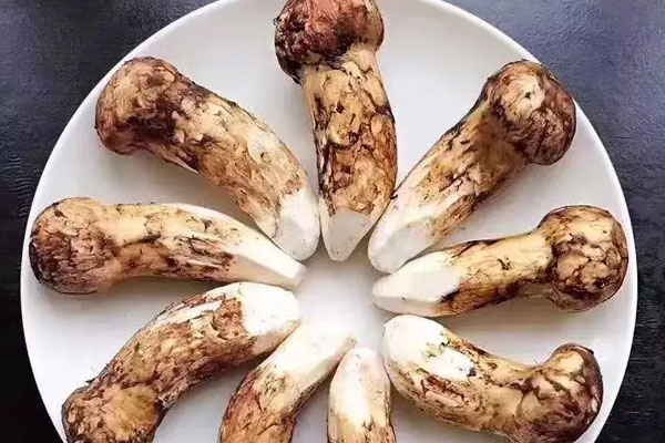 松茸白蘿卜排骨湯的做法竅門(mén) 松茸白蘿卜排骨湯的做法竅門(mén)