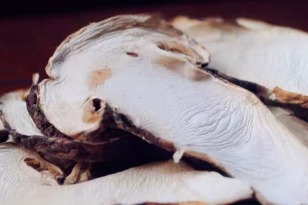 高血脂可以吃松茸嗎 高血脂可以吃松茸嗎