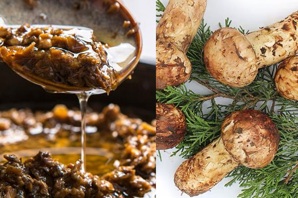 松茸醬可以直接吃嗎，松茸醬煎鮑魚好吃嗎