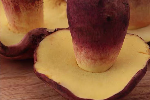 見(jiàn)手青好不好吃 見(jiàn)手青好不好吃