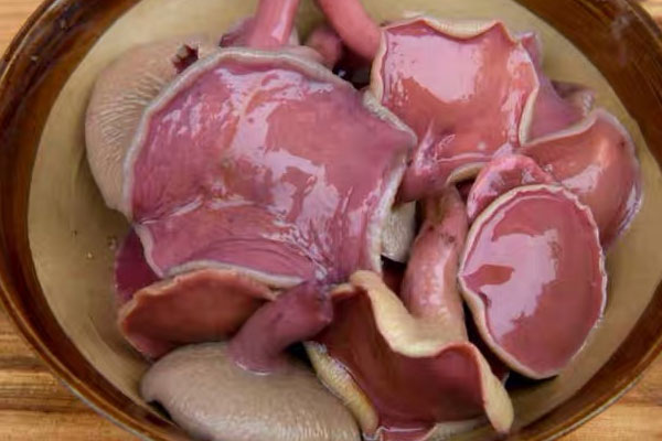 紅乳牛肝菌能包餃子嗎，干制紅乳牛肝菌怎么食用