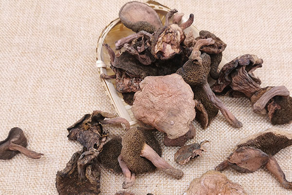 干制紅乳牛肝菌的吃法 干制紅乳牛肝菌的吃法