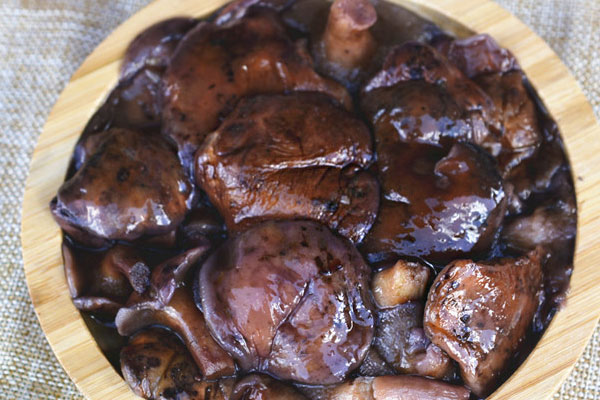 紅乳牛肝菌孕婦可不可以吃