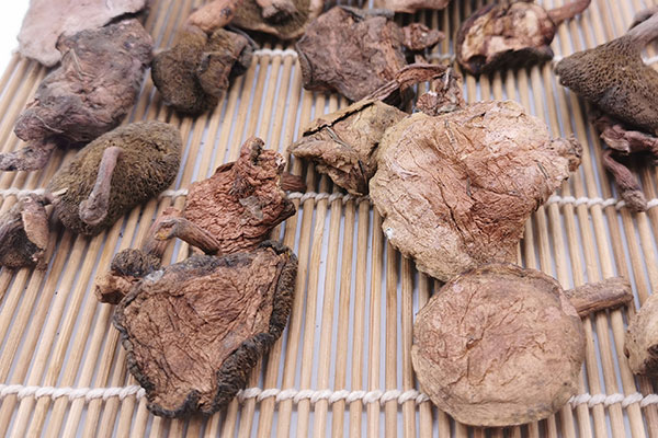 紅乳牛肝菌要泡多長時(shí)間，干的紅乳牛肝菌怎么清洗