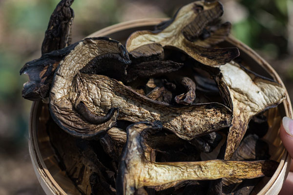 干的牛肝菌要泡發(fā)多長時(shí)間，泡牛肝菌的水要不要