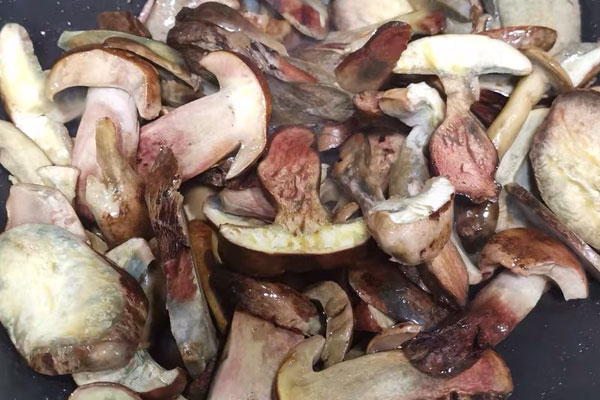 見手青和牛肝菌是一樣的嗎，鮮牛肝菌需要焯水嗎