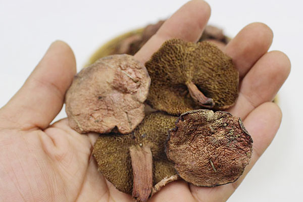 紅乳牛肝菌不能和什么一起吃，干牛肝菌怎么泡不苦