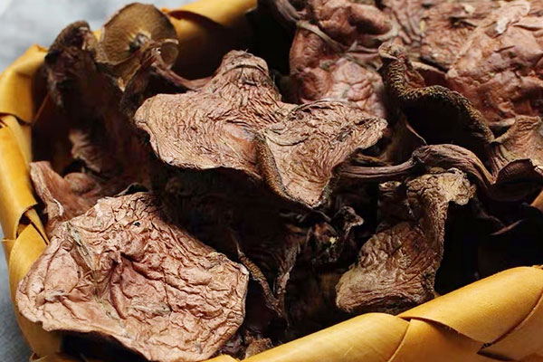 紅乳牛肝菌燉牛肉的功效作用與營(yíng)養(yǎng)價(jià)值 紅乳牛肝菌燉牛肉的功效作用與營(yíng)養(yǎng)價(jià)值