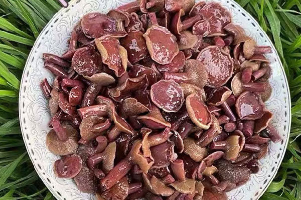 紅乳牛肝菌燉牛肉的食用禁忌 紅乳牛肝菌燉牛肉的食用禁忌