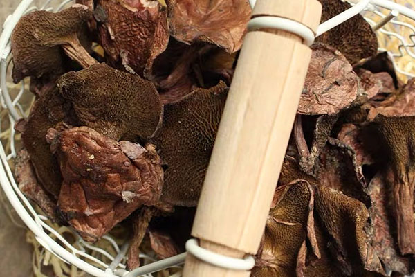 涼拌紅乳牛肝菌的注意事項(xiàng) 涼拌紅乳牛肝菌的注意事項(xiàng)