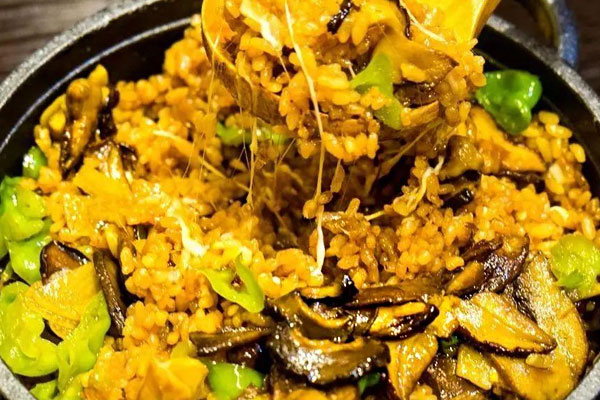 芝士牛肝菌燜飯的功效作用 芝士牛肝菌燜飯的功效作用