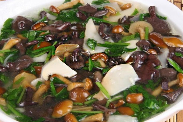 紅乳牛肝菌豆腐湯的做法以及竅門