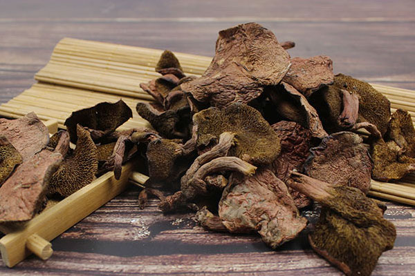 紅乳牛肝菌豆腐湯的做法竅門 紅乳牛肝菌豆腐湯的做法竅門