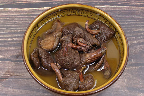 紅乳牛肝菌豆腐湯的功效作用 紅乳牛肝菌豆腐湯的功效作用