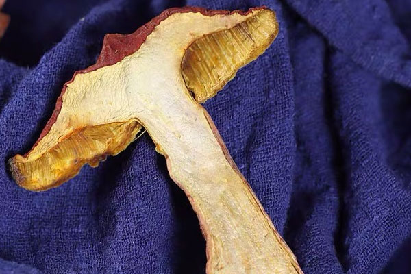 牛肝菌五香排骨的做法竅門 牛肝菌五香排骨的做法竅門