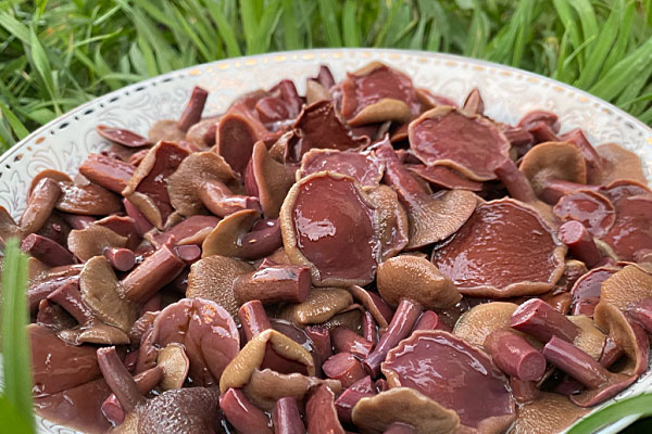 胃寒可以吃牛肝菌嗎，牛肝菌可以調(diào)理腸胃嗎