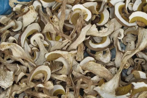 心臟不好能不能吃牛肝菌