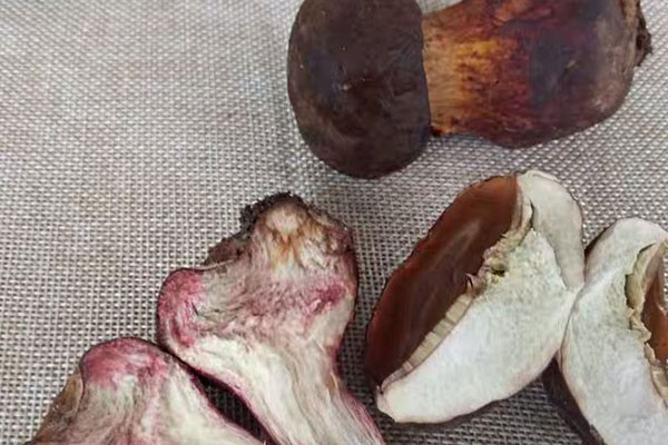 牛肝菌小籠包的功效作用 牛肝菌小籠包的功效作用