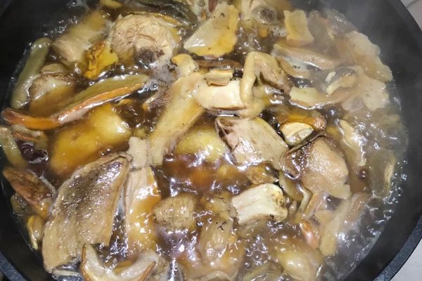 牛肝菌瘦肉湯會上火嗎 牛肝菌瘦肉湯會上火嗎