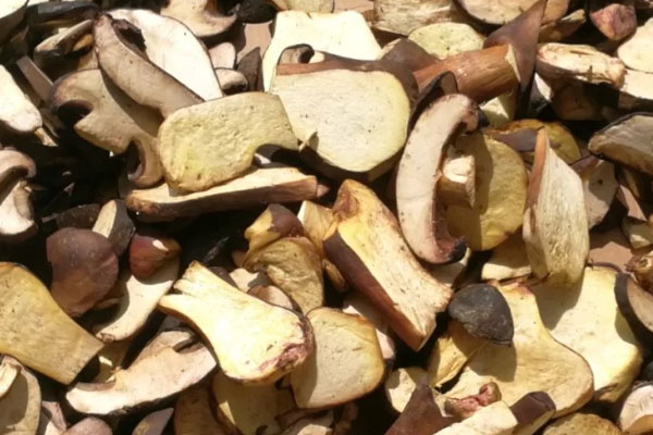 做牛肝菌油可以水浸牛肝菌嗎 做牛肝菌油可以水浸牛肝菌嗎