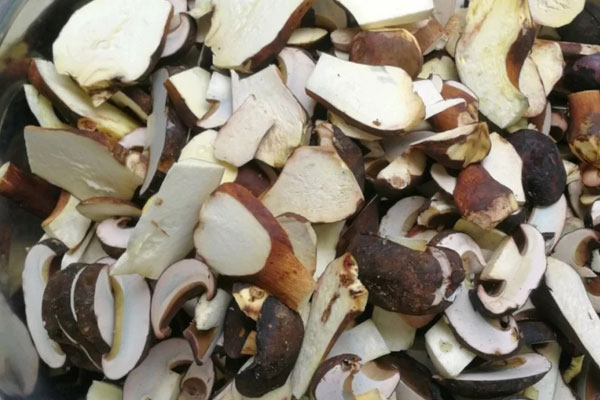 牛肝菌鮑魚土雞湯的功效作用 牛肝菌鮑魚土雞湯的功效作用