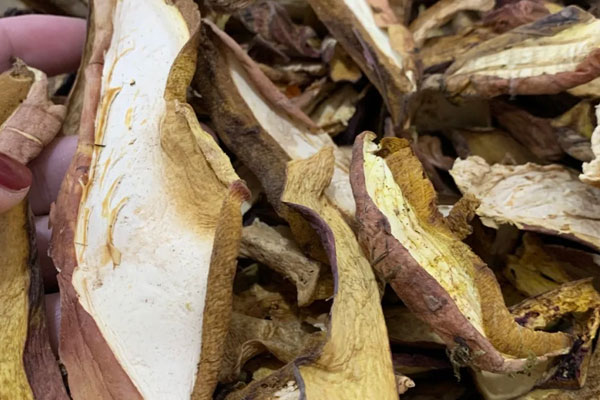 干牛肝菌怎么泡才不硬