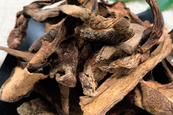 干牛肝菌泡出來有很多蟲 干牛肝菌泡出來有很多蟲