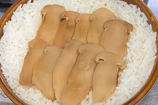 支氣管炎能吃松茸嗎 支氣管炎能吃松茸嗎