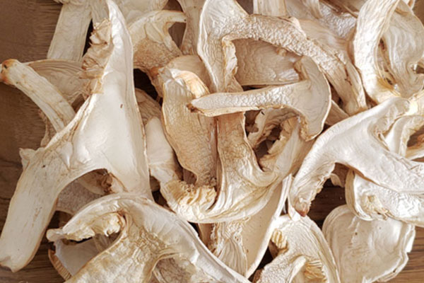 干松茸可以燉雞嗎，松茸燉雞松茸什么時(shí)候下鍋