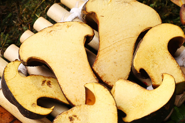 牛肝菌澆頭面好吃嗎 牛肝菌澆頭面好吃嗎