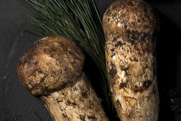 松茸鮑魚龍蝦粥的功效作用 松茸鮑魚龍蝦粥的功效作用