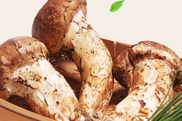 松茸絲瓜螃蟹雞湯的功效作用 松茸絲瓜螃蟹雞湯的功效作用