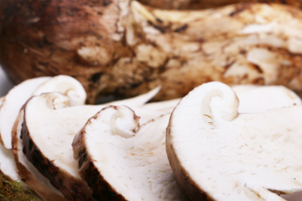 松茸雞胸肉燜飯的食用禁忌