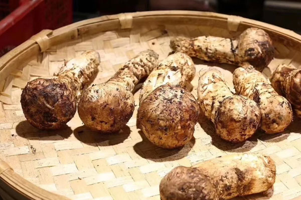 吃松茸補哪里 吃松茸補哪里