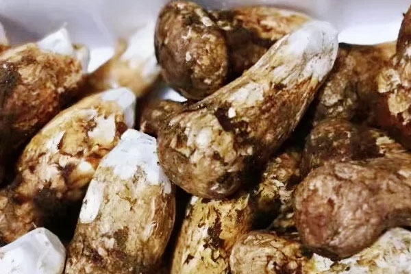 松茸是補(bǔ)品嗎，松茸屬于保健品嗎