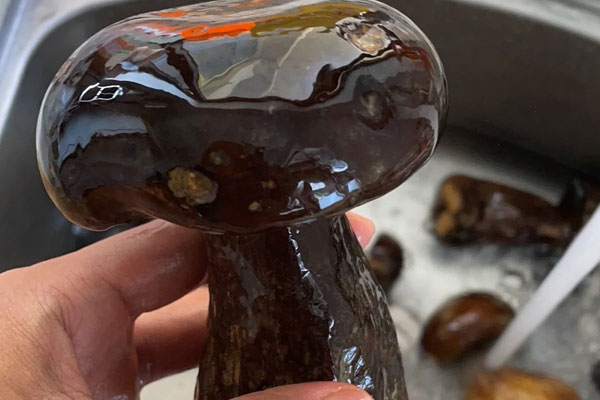 牛肝菌土豆燉牛腩的食用禁忌 牛肝菌土豆燉牛腩的食用禁忌