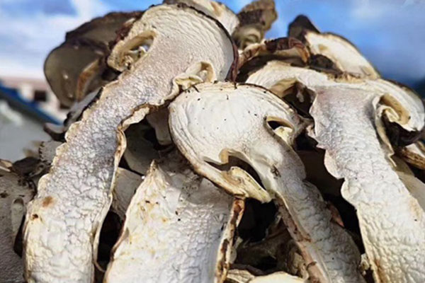 松茸煮水的時長 松茸煮水的時長