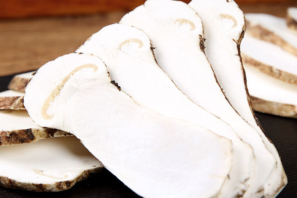 老人吃松茸的好處 老人吃松茸的好處