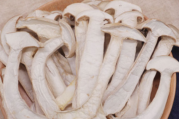 松茸可以預(yù)防三高嗎 松茸可以預(yù)防三高嗎