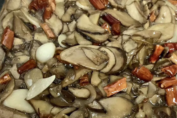 牛肝菌油用什么做的