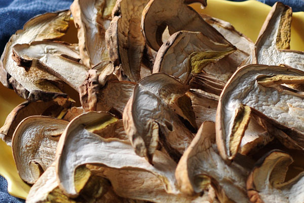 牛肝菌的三大烘干方法 牛肝菌的三大烘干方法