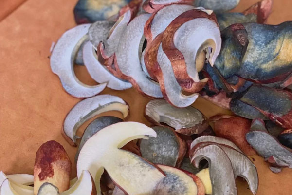 牛肝菌切開(kāi)變藍(lán)色還可以吃嗎 牛肝菌切開(kāi)變藍(lán)色還可以吃嗎