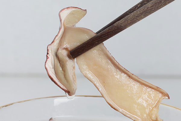 干牛肝菌泡隔夜還能吃嗎，牛肝菌放了兩年了還能用嗎