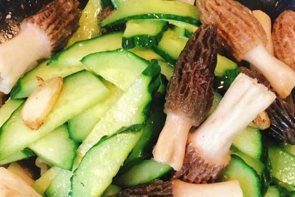 羊肚菌素炒青瓜的食用禁忌 羊肚菌素炒青瓜的食用禁忌