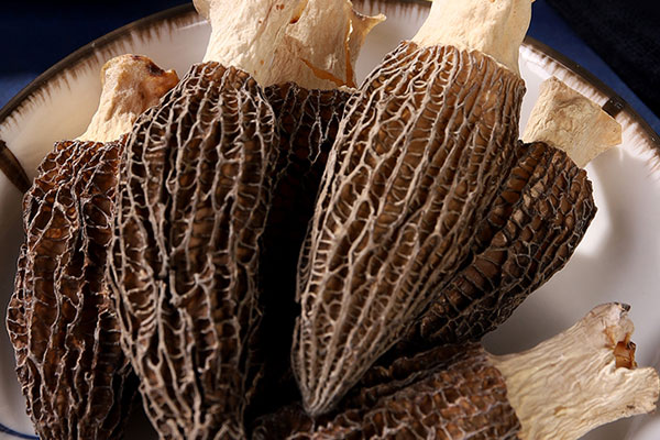 羊肚菌鮑魚燜雞的功效作用 羊肚菌鮑魚燜雞的功效作用