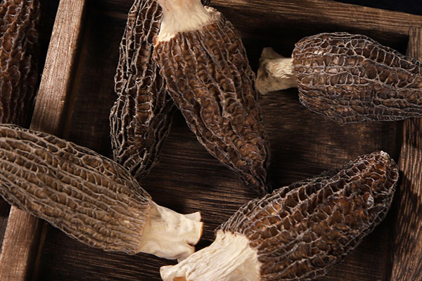 羊肚菌鮑魚燜雞的禁忌人群 羊肚菌鮑魚燜雞的禁忌人群