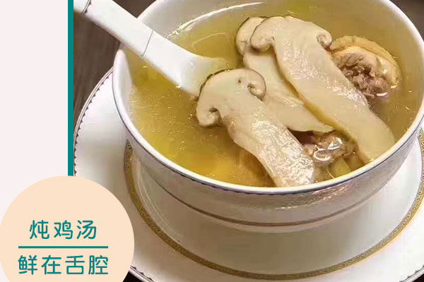 備孕的時(shí)候可以吃松茸雞湯嗎，松茸吃法