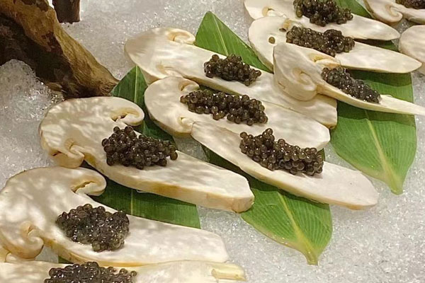 松茸魚子醬刺身的做法，有哪些功效作用