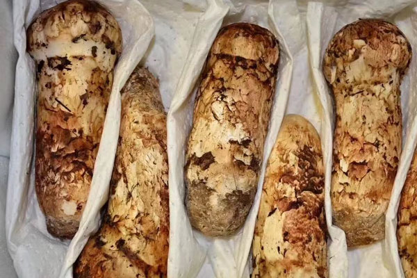 松茸可以炒肉吃嗎，請(qǐng)問(wèn)松茸有什么功效