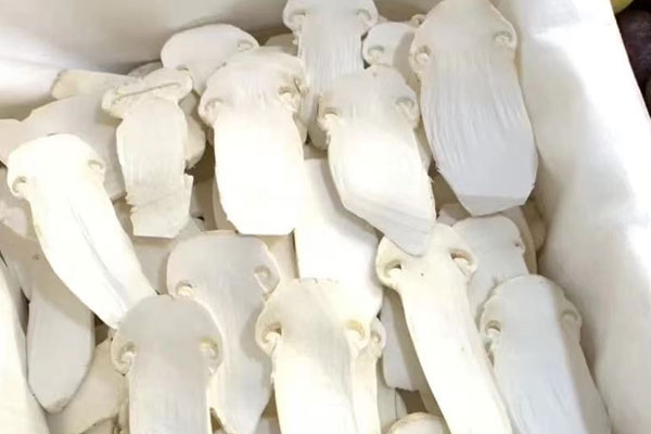 當(dāng)歸松茸花膠雞湯的功效作用 當(dāng)歸松茸花膠雞湯的功效作用